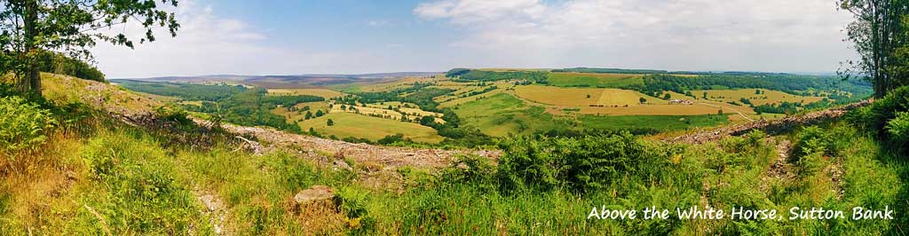 Panorama from above the White Horse